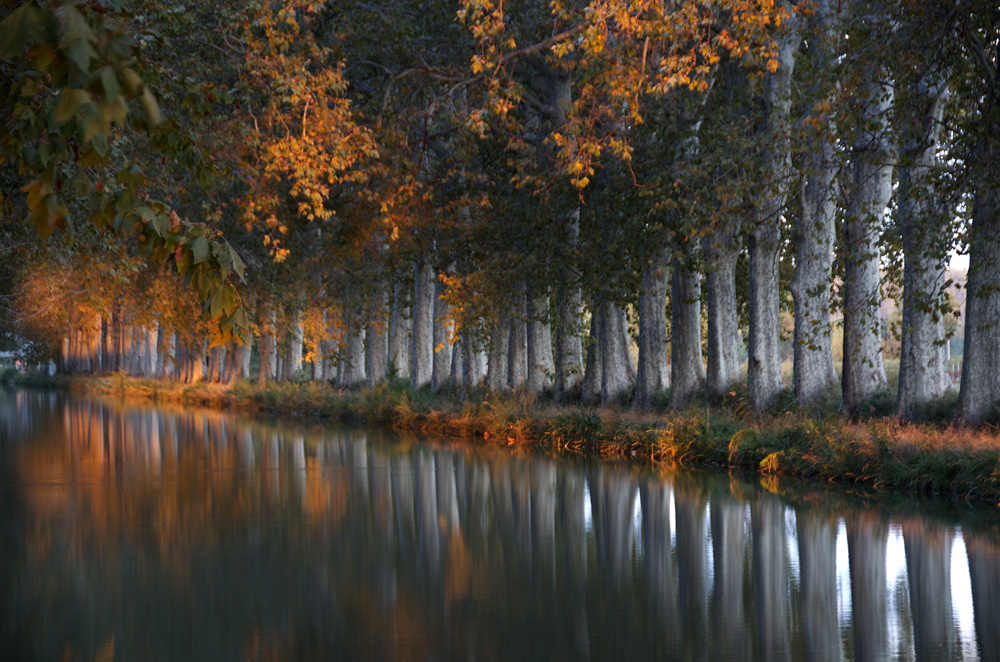 0150_Magisches Licht_HP.jpg
